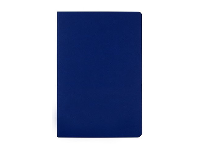 картинка Бизнес тетрадь А5 "Megapolis flex" 60 л. soft touch клетка, синий от магазина Одежда+