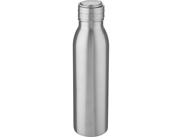 картинка Бутылка для воды Harper из нержавеющей стали, с металлической петлей, 700 мл - Серебристый от магазина Одежда+